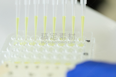 吸液管,盘子,科学家,生物学,微生物学,健康保健,生物化学,科技,生物科技,科学实验