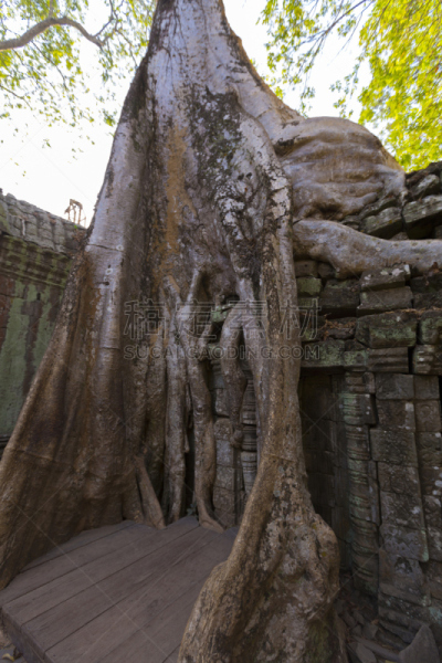 吴哥,塔布笼寺,石墙,高棉文明,垂直画幅,纪念碑,古代文明,灵性,墙,柬埔寨