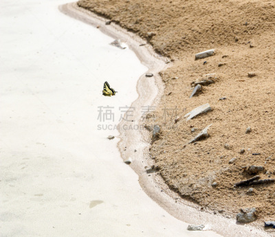 背景,沙子,黄色,垃圾填埋场,毛石,建筑业,蝴蝶,注射器,健康保健,砖