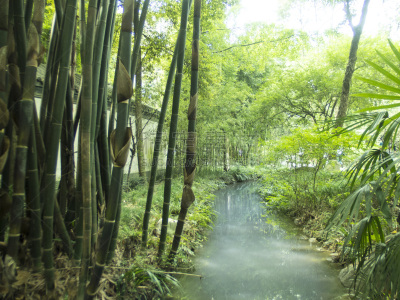 成都,四川省,中国,杜甫草堂,竹林,园艺师,盆景,公园,水平画幅,古老的