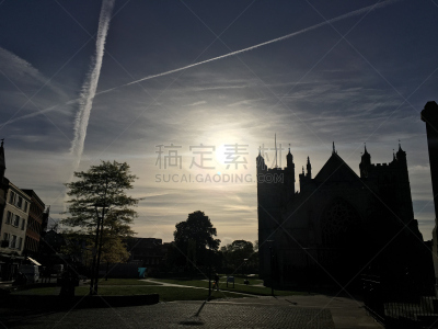 早晨,绿色,五月,2018,天空,小无花果树,水平画幅,云,地形