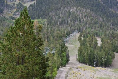 山,内华达州,美国,查尔斯顿,春山山脉,滑雪缆车,滑雪坡,松林,水平画幅,无人