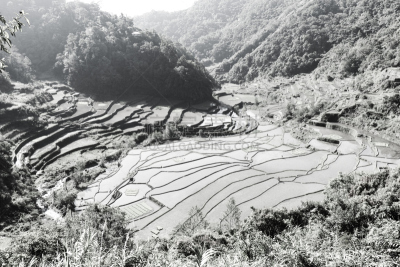 水稻梯田,自然,悬崖,水平画幅,山,无人,乡村,蓝色,菲律宾,巴拿威