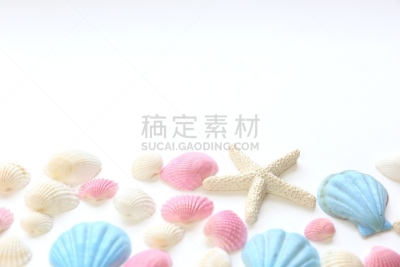 贝壳,海洋,自然,留白,地球女神,休闲活动,水平画幅,白色背景,夏天,看风景