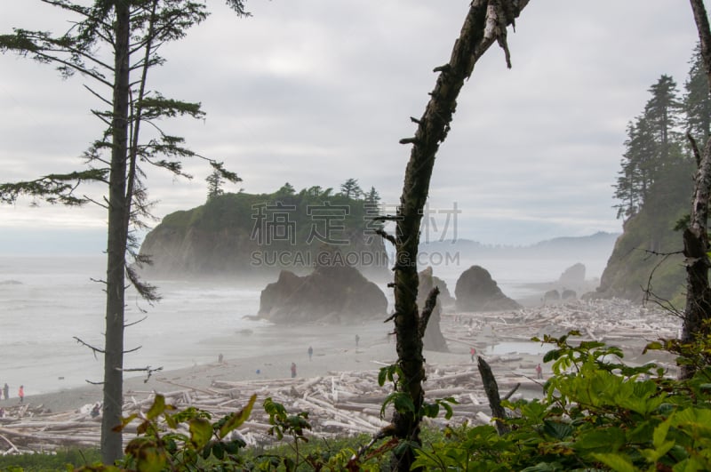 鲁比海滩,自然,华盛顿州,风景,图像,奥林匹克山,海洋,太平洋,美国,自然美