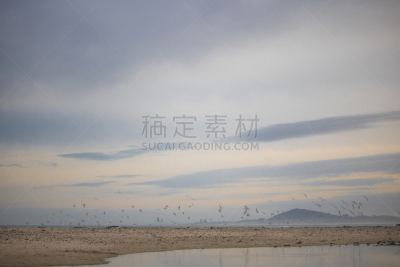 鸟类,海滩,一群鸟,中间,水,天空,水平画幅,云,开普敦,早晨