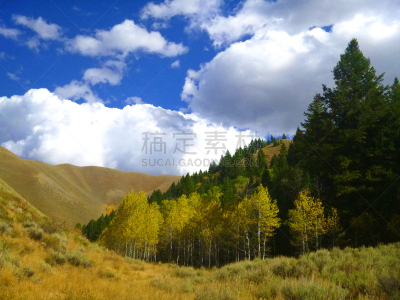 秋天,充满的,自然,爱达荷,自由,云,图像,岂彻姆,森瓦利,美国