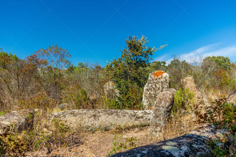 山,科西嘉,建筑工地,三只动物,被抛弃的,史前时代,美,艺术,水平画幅,夏天