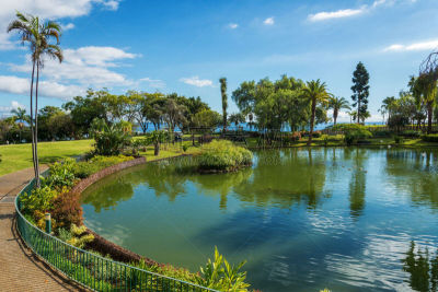 葡萄牙,海洋,看风景,公园,丰沙尔,城市,马德拉,水,天空