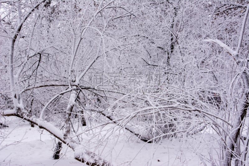 乌里扬诺夫斯克,纪念碑,天空,美,公园,水平画幅,雪,户外,俄罗斯