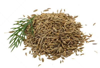 种子,毛莨科葛缕子属香菜,孜然,茴香,褐色,水平画幅,小的,莳萝,有机食品,膳食