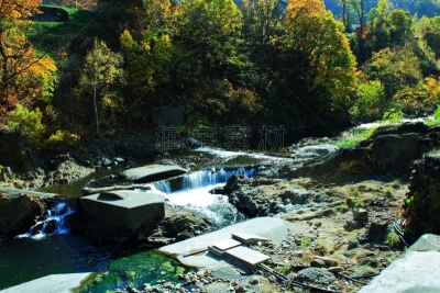 秋天,温泉,札幌,北海道,风景,黄色,红色,图像,叶子,足浴