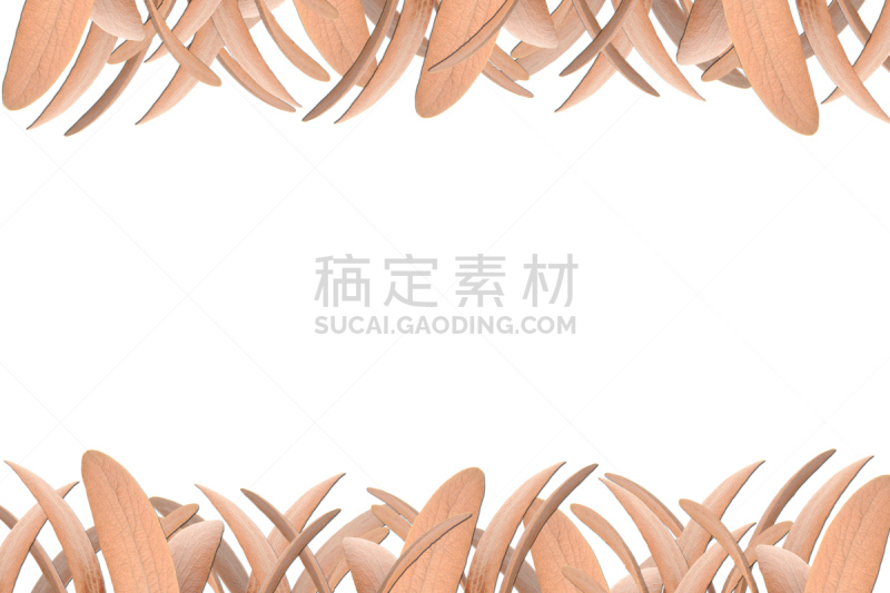 边框,褐色,艺术,水平画幅,无人,手艺,绘画插图,白色背景,干的,背景分离