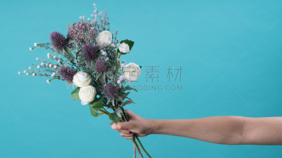 花束,自然美,背景,野生植物,轻的,美,水香花菜,芳香的,水平画幅,无人