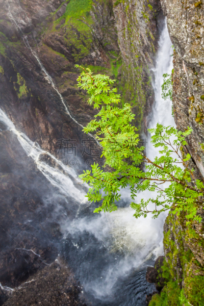 瀑布,挪威,数字4,voringsfossen,埃德峡湾,自然,垂直画幅,山,无人,户外
