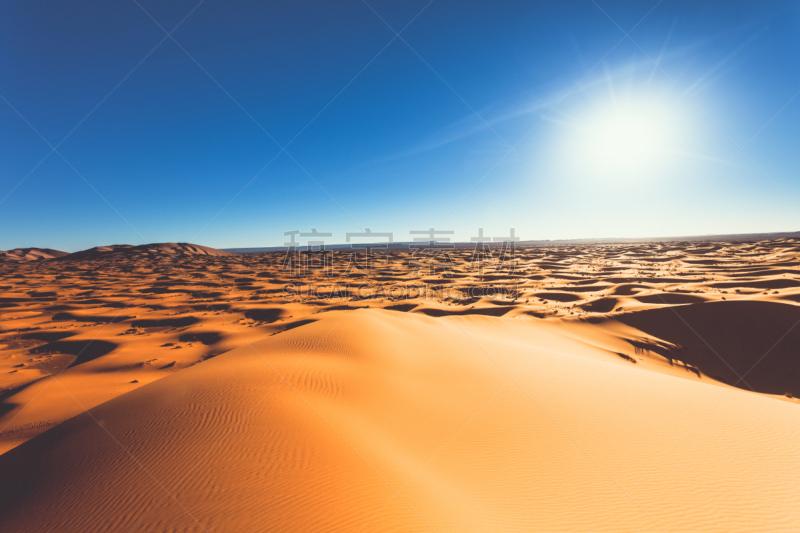 黎明,撒哈拉沙漠,巴巴里人,西撒哈拉沙漠,erg chebbi dunes,天空,留白,褐色,水平画幅,沙子