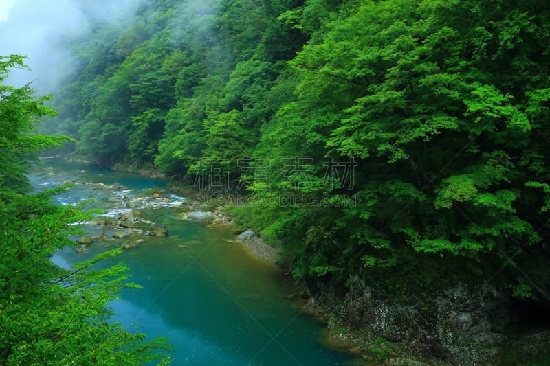 夏天,山谷,水,水平画幅,山,瀑布,无人,户外,植物,秋田县