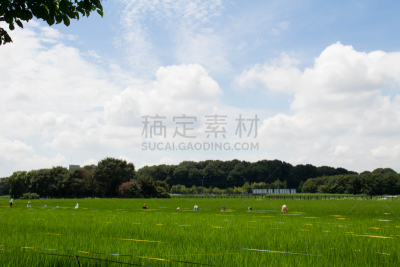 崎玉县,地形,稻,田地,埼玉市,自然,天空,里山,水平画幅,无人