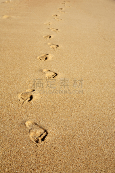 格兰德岛,垂直画幅,南美,水,沙子,无人,大西洋,巨大的,夏天,户外