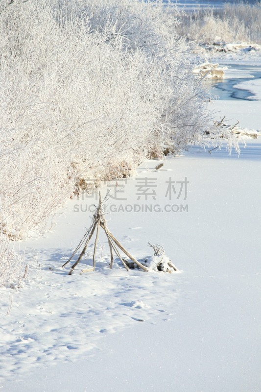 枝,冻结的,圆锥帐篷,河岸,死亡的植物,形状,寒冷,环境,霜,雪