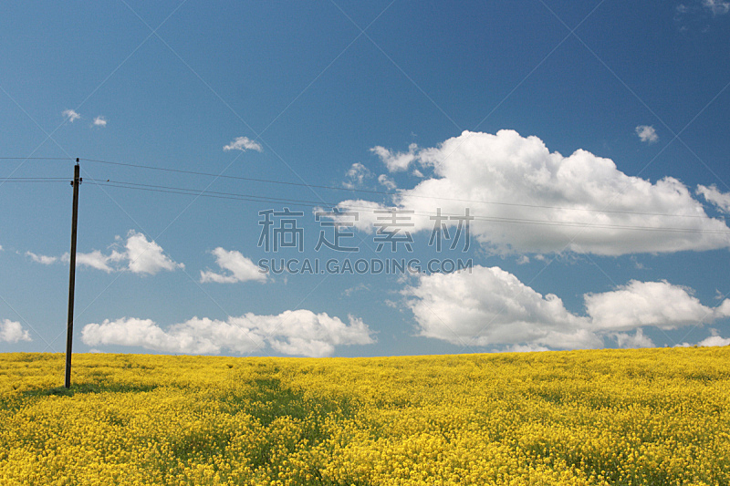 天空,田地,蓝色,黄色,德国,电缆,水平画幅,无人,户外,金属丝