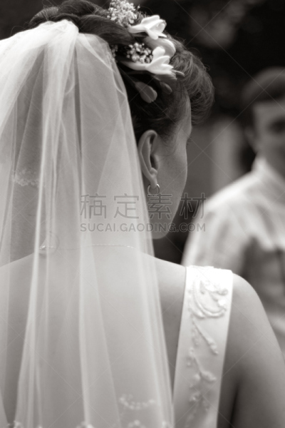 新娘,初入社交界的少女,冠状头饰,垂直画幅,美,十字形,美人,巨大的,人群,女子晚礼服