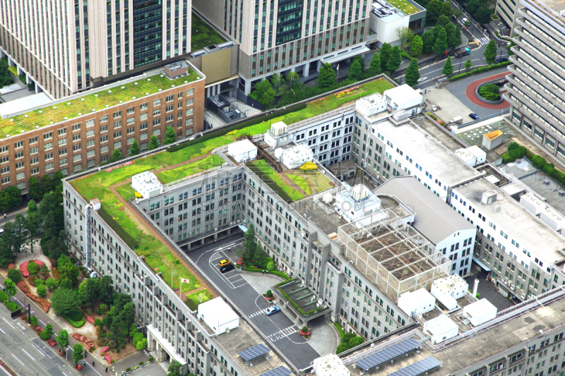 屋顶,摩天大楼,东京,园林,建筑外部,屋顶花园,自然,水平画幅,建筑,无人