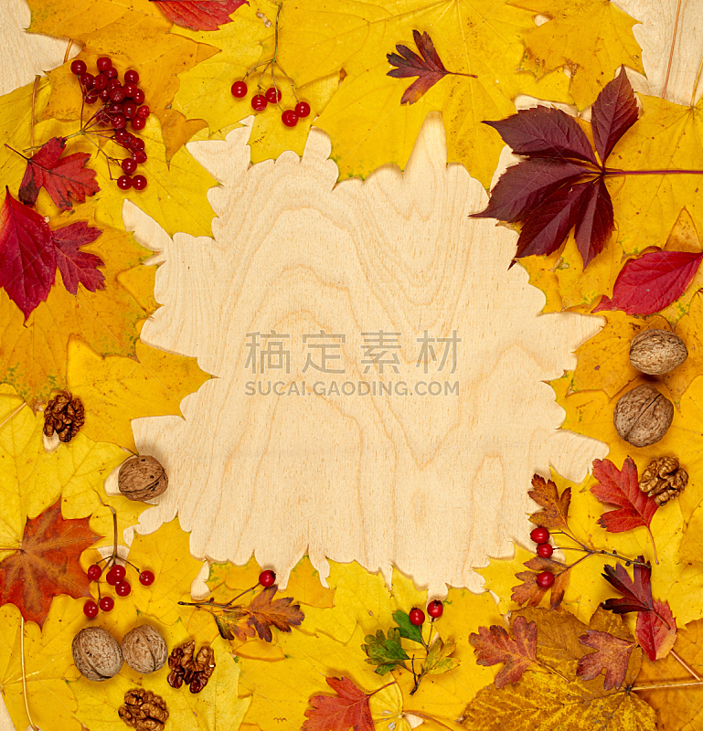 背景,木制,秋天,叶子,九月,十月,边框,厚木板,摩尔多瓦共和国,橙色