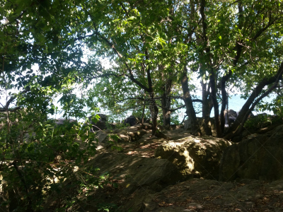 草,自然美,格林公园,活湃湖滩,多伦多,水,天空,水平画幅,无人,夏天
