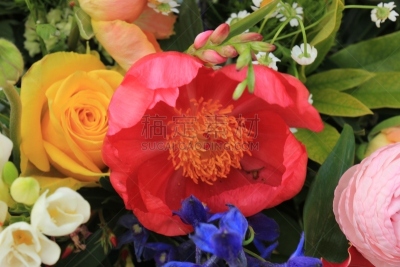 花束,春天,多样,银莲花,甘菊花,水平画幅,无人,玫瑰,毛莨属植物,白色