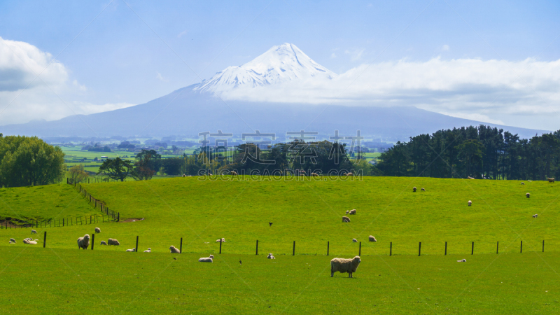 塔拉纳基山,羊场,背景,惠斯勒,美,水平画幅,山,雪,无人,火山地形