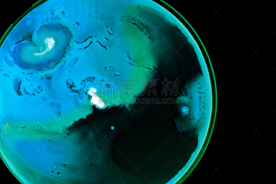 皮氏培养皿,细菌,大群动物,生物学,微生物学,健康保健,背景分离,药,形态学,生物科技