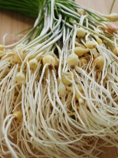 细香葱,成分,野生植物,韩国食物,蔬菜,清新,中文,香料,饮食产业,野葱