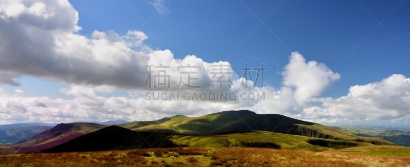 阴影,斯基多峰,在上面,森林,温来特,停泊的,旷野,摩尔人风格,石南花,水平画幅
