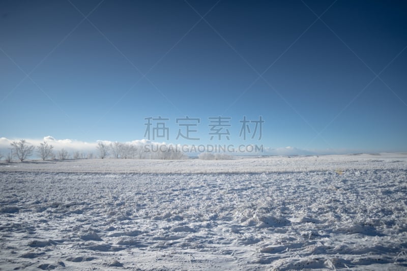 冬天,雪,田地,户外,自然,寒冷,卡尔加里,云,图像,阿尔伯塔省