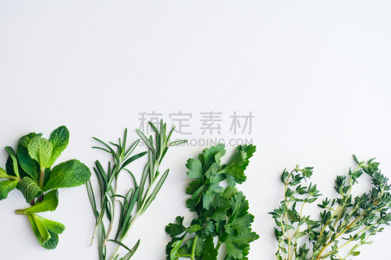 唇形科,清新,花束,白色背景,百里香,草本,迷迭香,欧芹,分离着色,小的