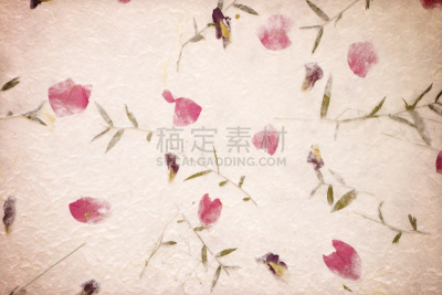 纸,桑椹,背景,美,褐色,古董,艺术,水平画幅,古老的,干的