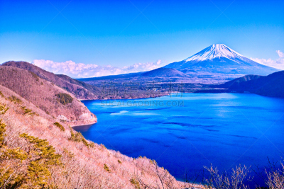 山,富士山,本栖湖,水,美,里山,水平画幅,林区,雪,无人