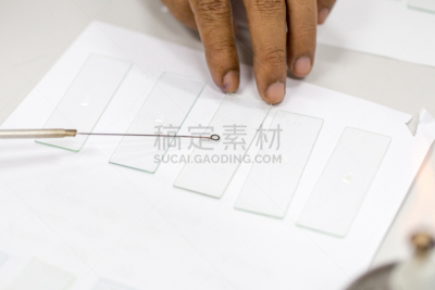 微生物学,实验室,肮脏的,技能,生物科技,水平画幅,科学实验,科学,生物学,工具台