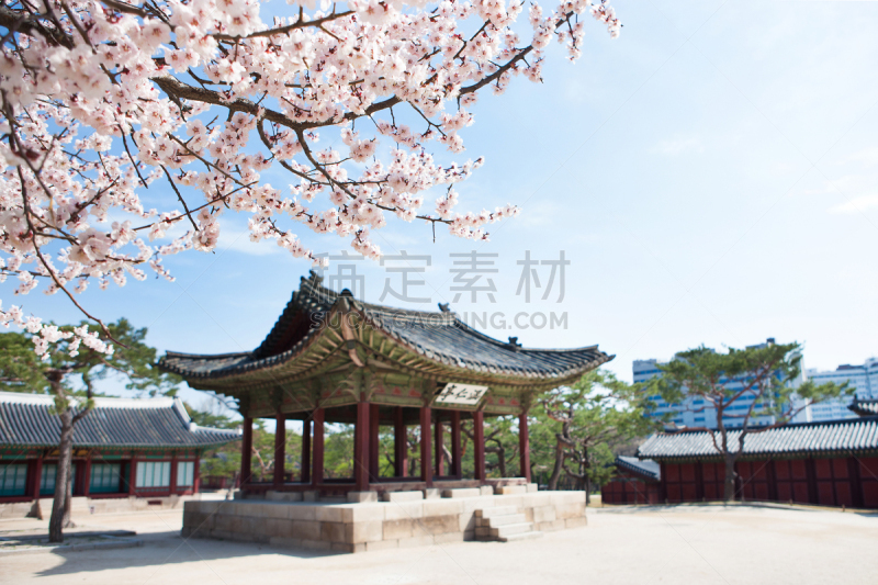 传统,昌庆宫,档案,世界遗产,图像,无人,韩国,旅游目的地,朝鲜半岛,户外