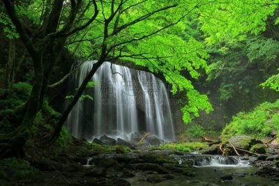瀑布,夏天,办公用品,水,水平画幅,无人,福岛县,户外,植物,山