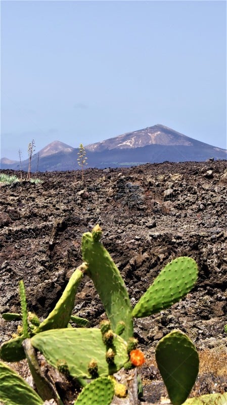 地形,timanfaya national park,田园风光,户外,季节,夏天,春天,黑色,干的,古老的