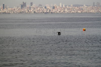 马尔马拉海地区,海鸥,留白,水平画幅,地形,无人,户外,城市,海洋,海滩