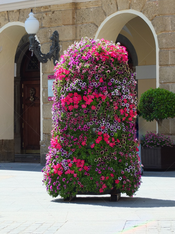 Plant Pots Of Cádiz