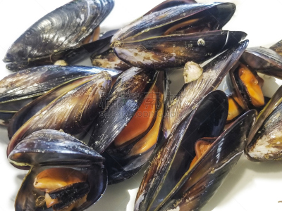 贻贝,贝壳,加利西亚,加州贻贝,配方,海产,饮食,膳食,食品,图像