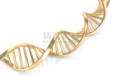 脱氧核糖核酸,黄金,螺旋模型,螺旋,螺线,分子结构,染色体,金色,转基因