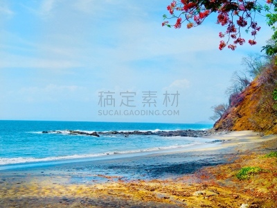 海滩,热带气候,云,豪客酒店,植物,户外,潮汐,半岛,黄色,哥斯达黎加