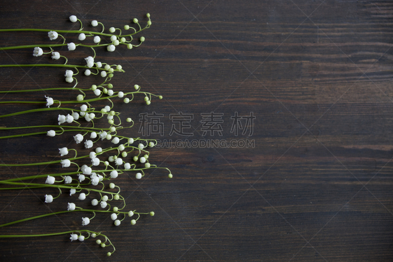 木制,暗色,背景,铃兰,褐色,水平画幅,无人,五月,夏天,乡村风格