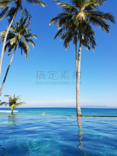 印度尼西亚,巴厘岛,无边际泳池,湿,热,运动,热带气候,椰子,印度洋,绿松石色