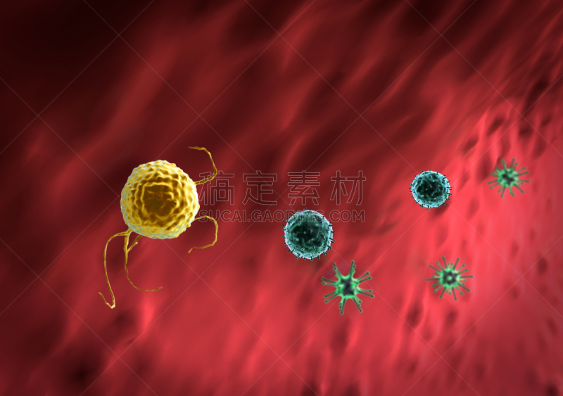 吞噬细胞,青霉菌,计算机制图,计算机图形学,细胞器,技术,红细胞